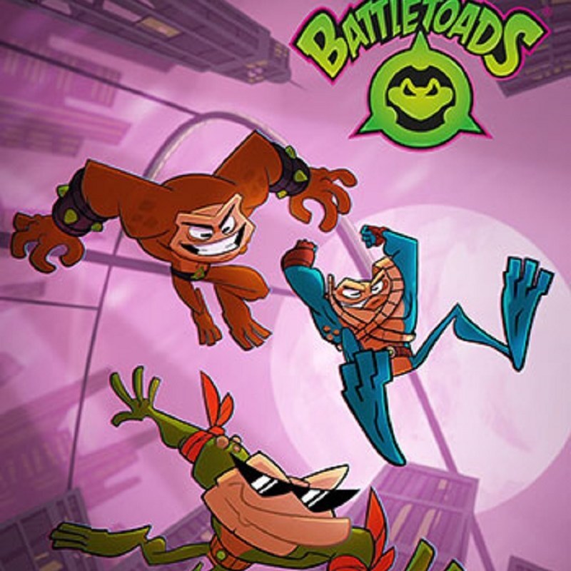 بازی کامپیوتری  Battletoads