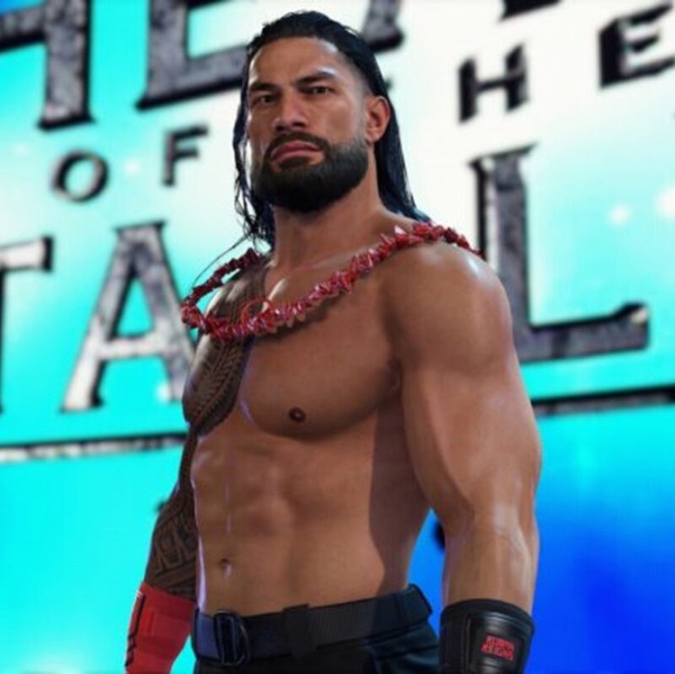 بازی کشتی کج WWE 2K24 برای کامپیوتر