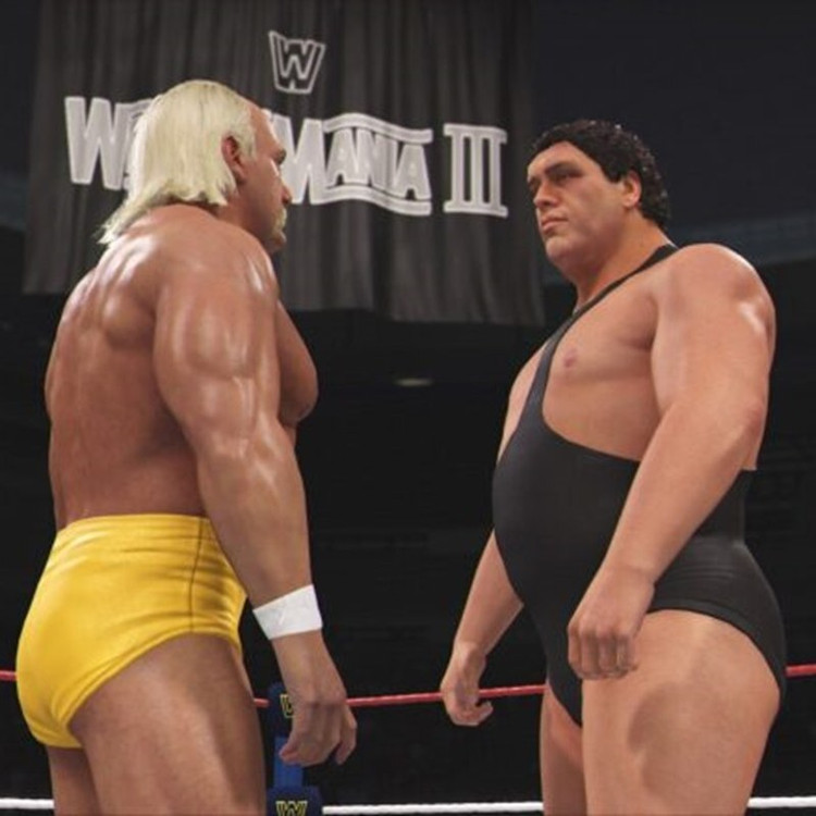 بازی کشتی کج WWE 2K24 برای کامپیوتر
