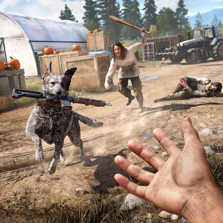 بازی کامپیوتری Far Cry 5