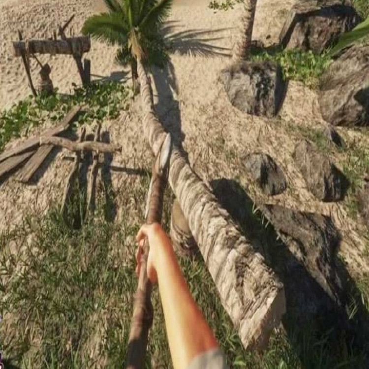 بازی کامپیوتری Stranded Deep