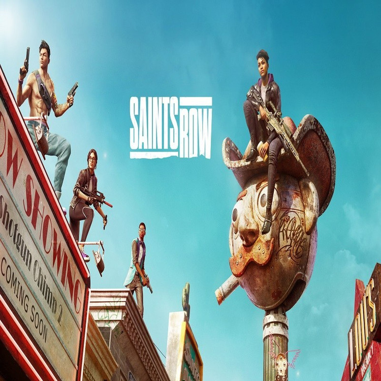 بازی کامپیوتری Saints Row Platinum Edition