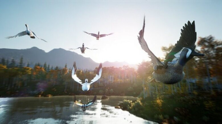 بازی پلی استیشن 4 نسخه رایتی نسخه هکشده بازی Hunting Simulator 2 PS4