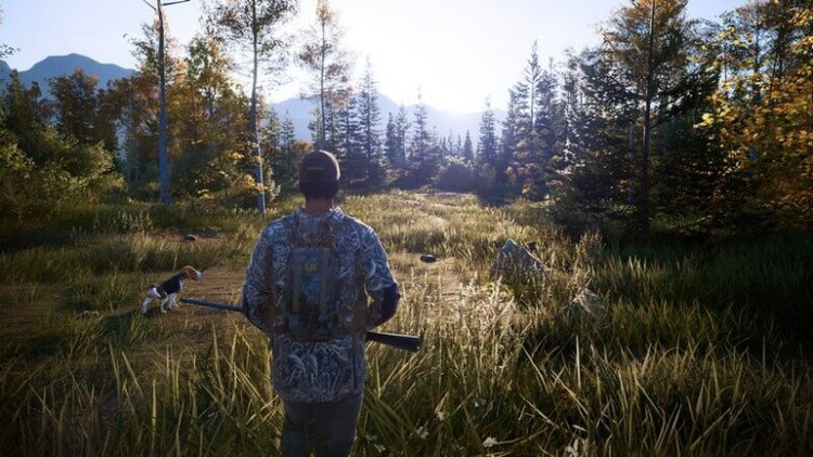 بازی پلی استیشن 4 نسخه رایتی نسخه هکشده بازی Hunting Simulator 2 PS4