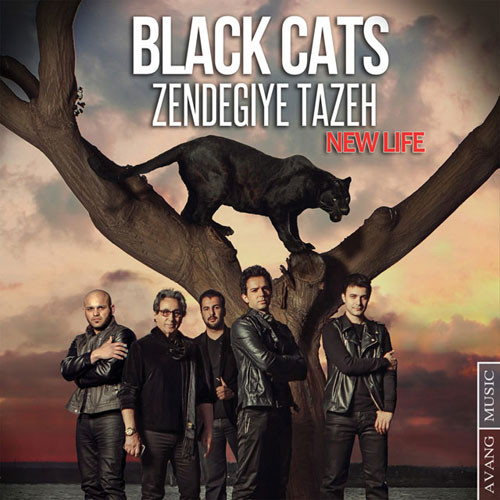 آهنگ های فول آلبوم Black Cats MP3