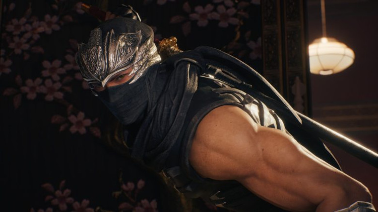 بازی NINJA GAIDEN 2 Black برای کامپیوتر