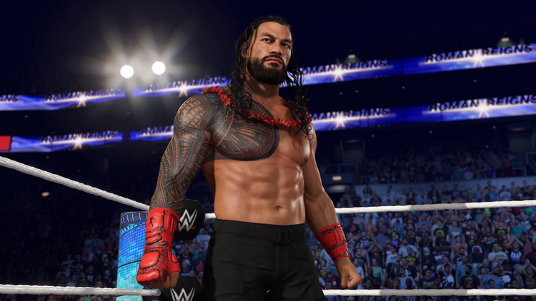 فلش 128 گیگ با بازی WWE 2K25 کشتی کج