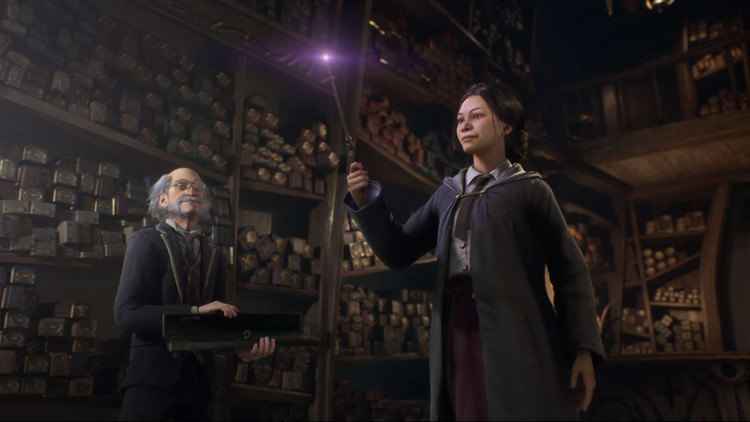 فلش 128 گیگ با بازی Hogwarts Legacy – Deluxe Edition