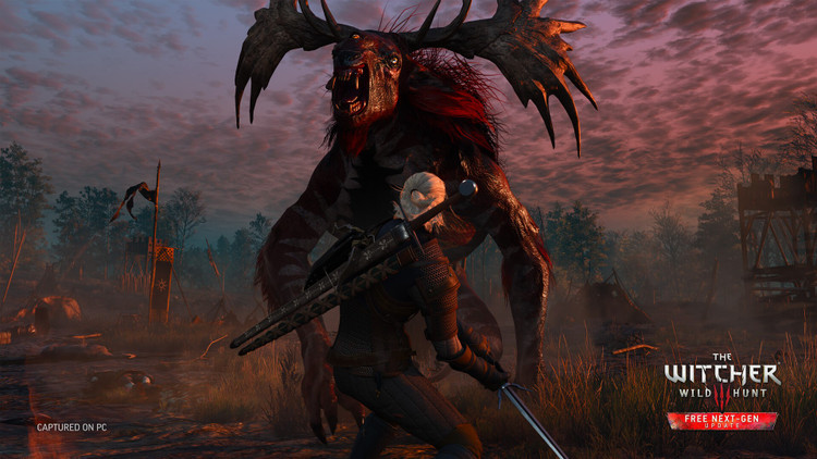 فلش 64 گیگ با بازی The Witcher 3: Wild Hunt