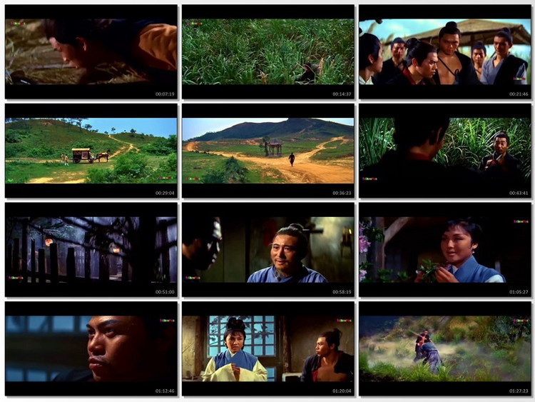 فیلم رزمی مشت شکستناپذیر Invincible Fist 1968 پلیر خانگی دوبله فارسی
