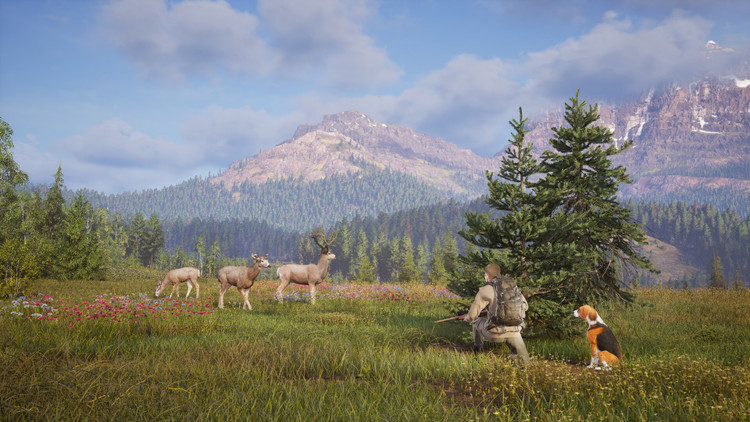 بازی Way of the Hunter 2 برای کامپیوتر